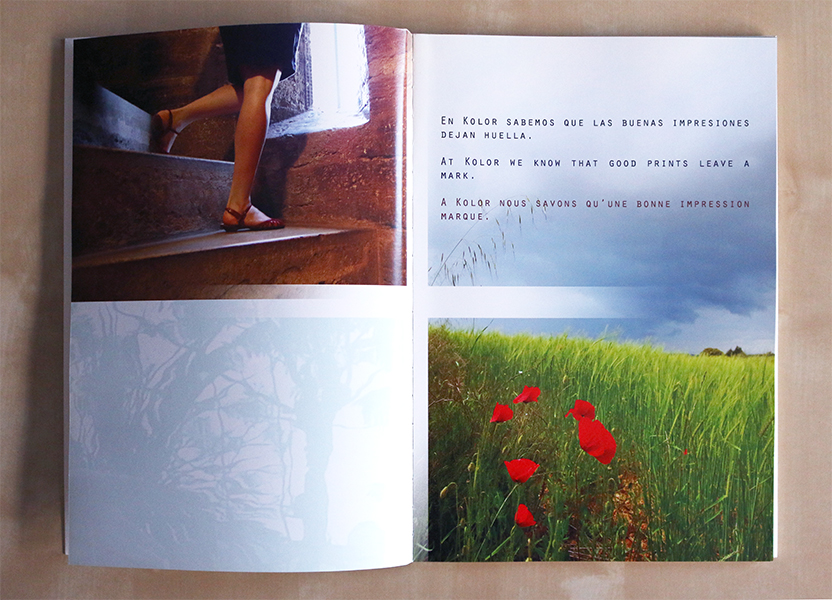 alejo negro / catálogo kolor (2)